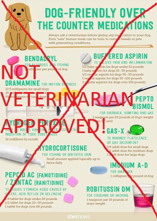 Illustration for article titled Pets and OTC Medication